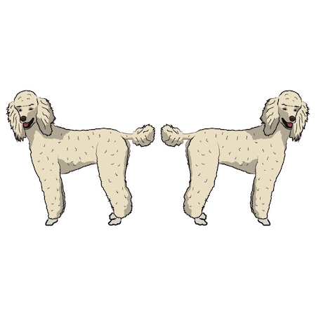 Signmission Standard Poodle Dog Decal, Dog Lover Decor Vinyl Sticker D-18-Standard Poodle